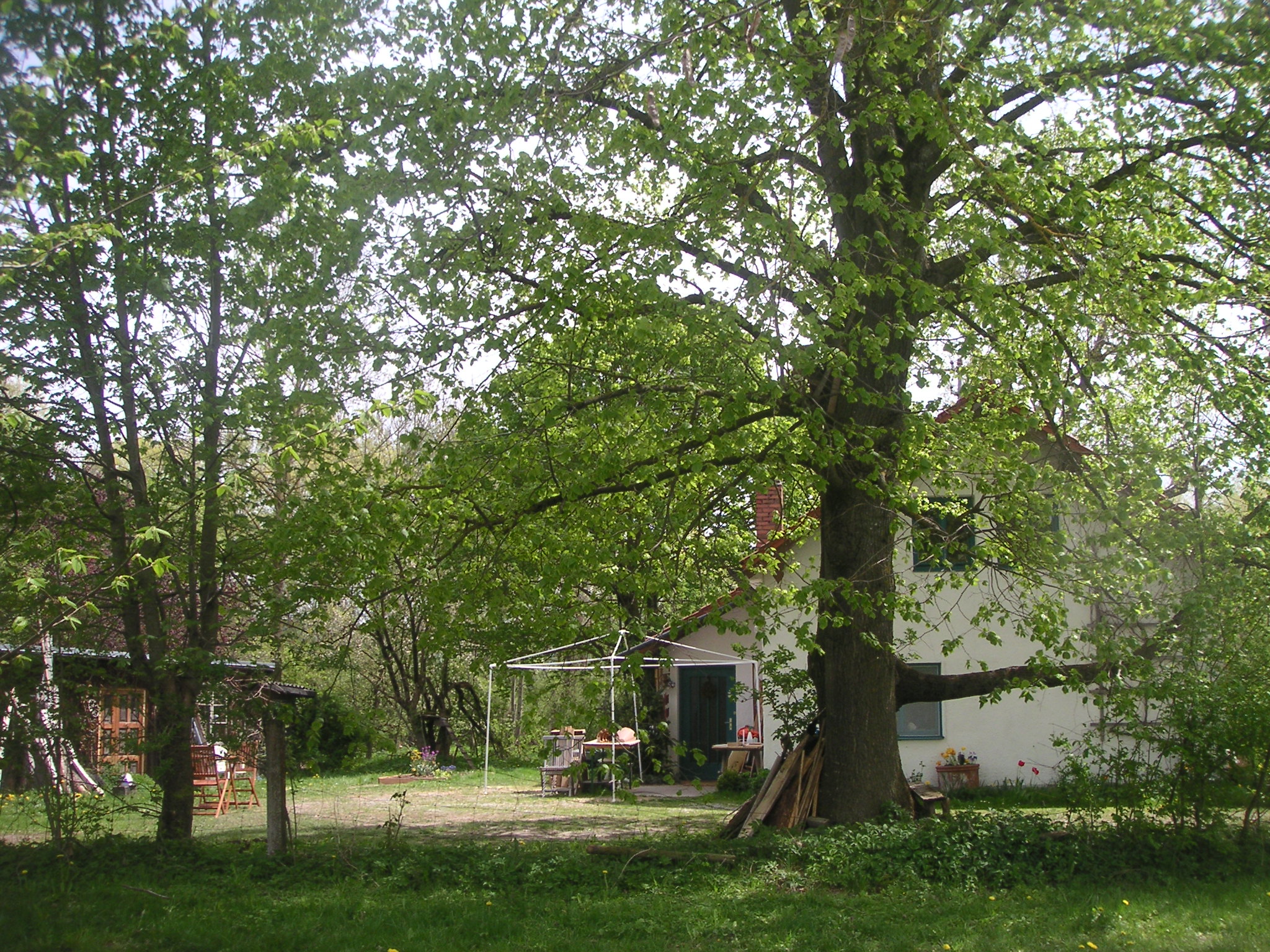PICT0159