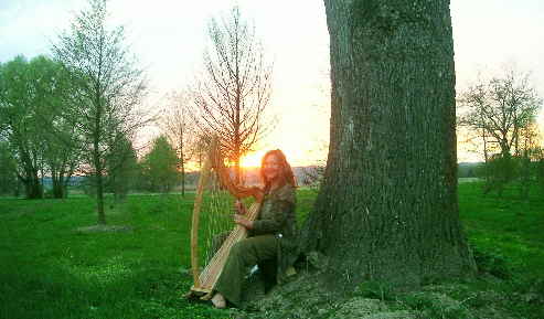 BestBaumLandscapePiCT0085