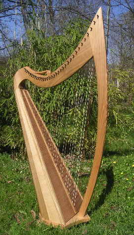 Best Harp PICT0099